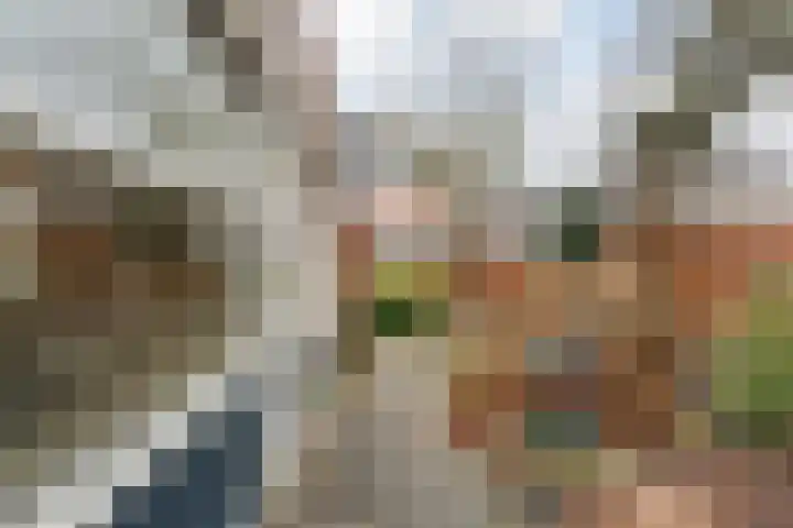 De Weverij 2 Hardenberg thumbnail 41