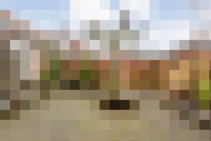 De Weverij 2 Hardenberg thumbnail 45