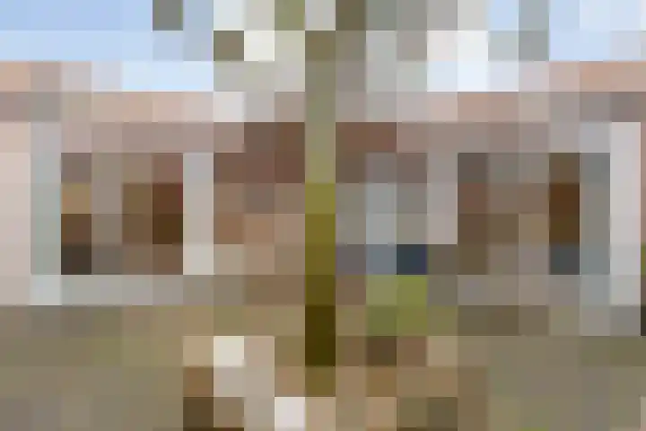 De Weverij 2 Hardenberg thumbnail 46