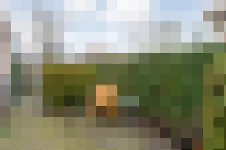 De Weverij 2 Hardenberg thumbnail 49