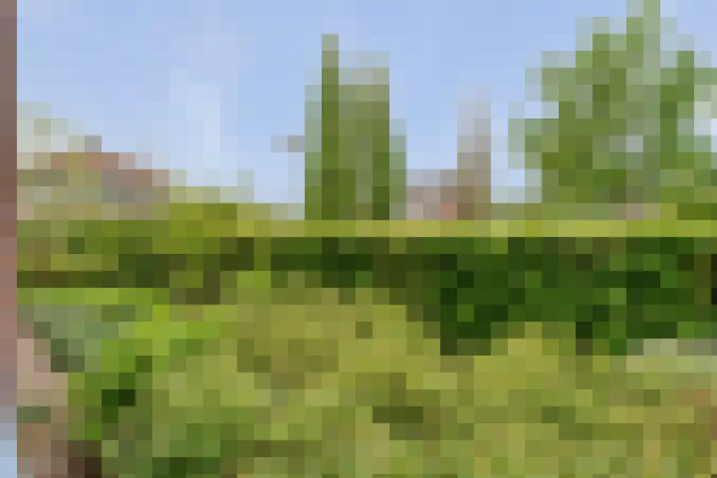 De Weverij 9 Hardenberg thumbnail 27