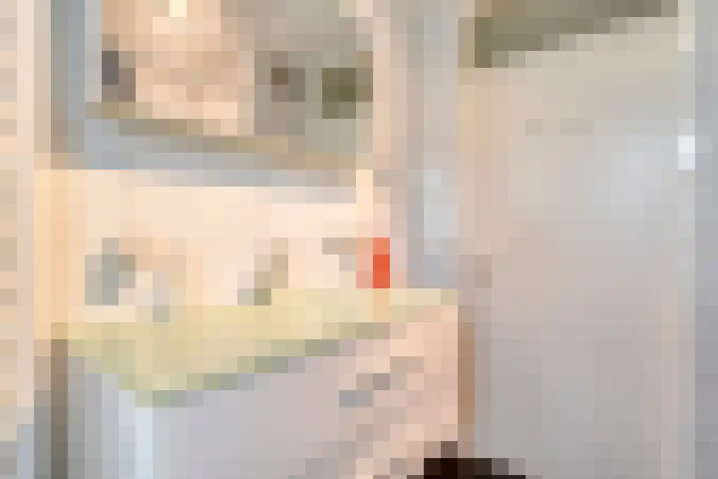 De Weverij 9 Hardenberg thumbnail 36