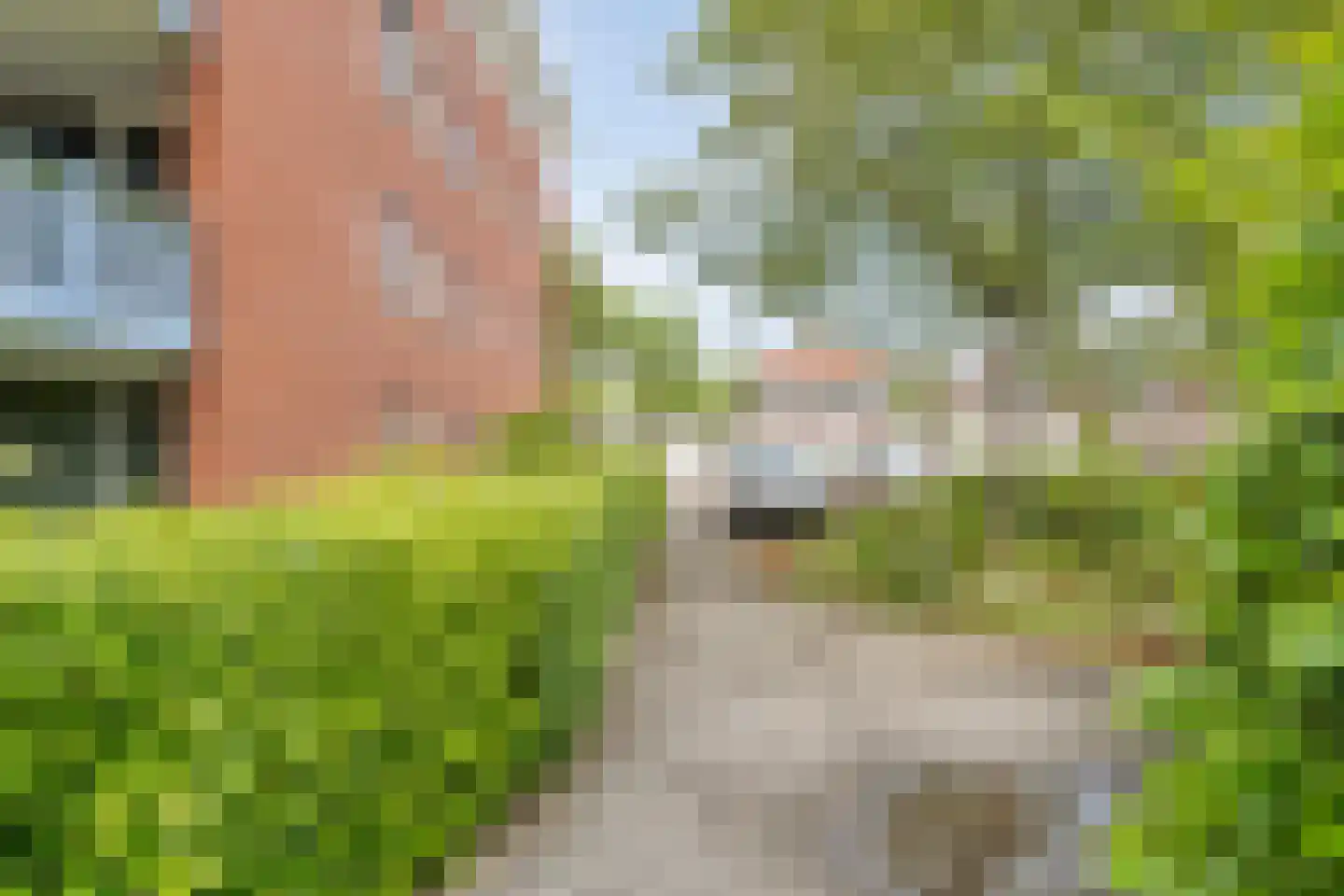 De Weverij 9 Hardenberg thumbnail 41