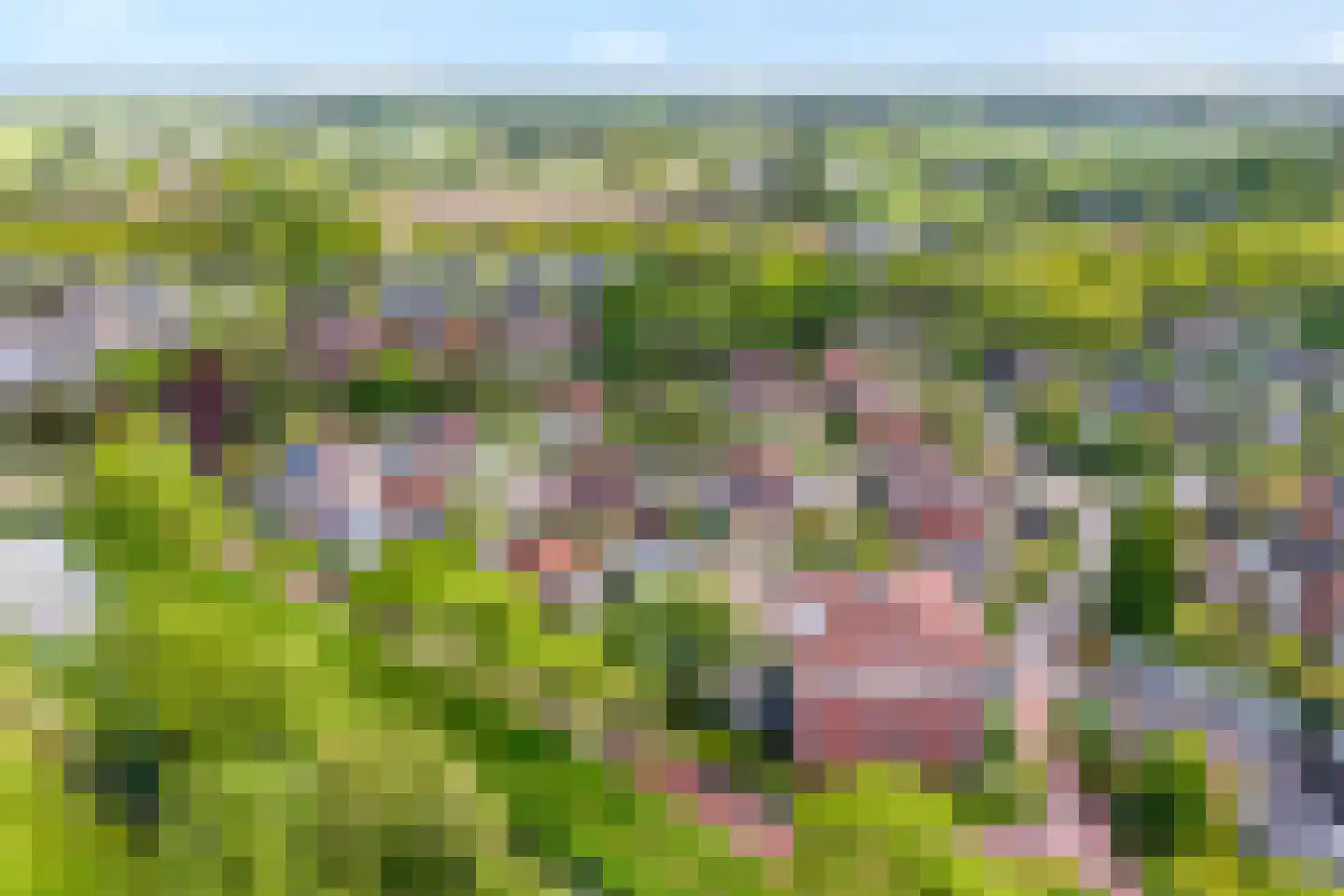 De Weverij 9 Hardenberg thumbnail 5