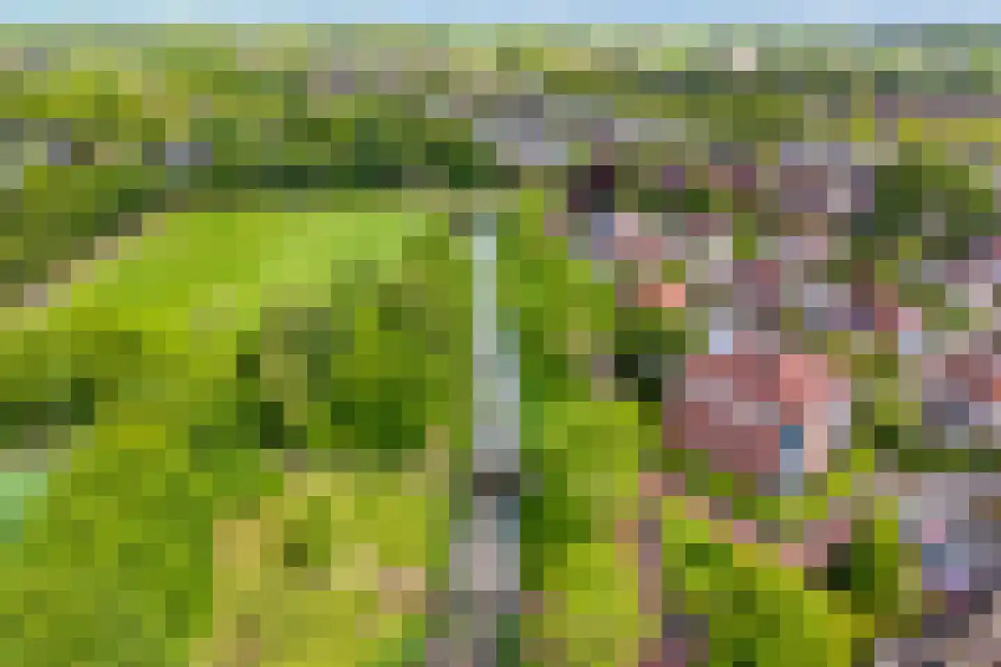 De Weverij 9 Hardenberg thumbnail 6