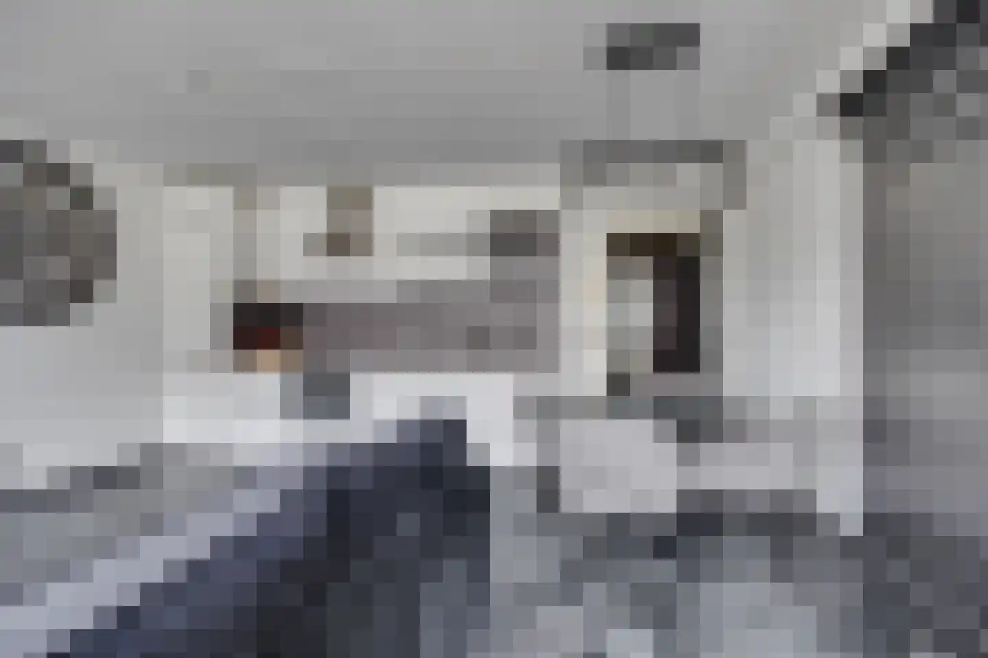 De Wevershilt 15 c Leusden thumbnail 10