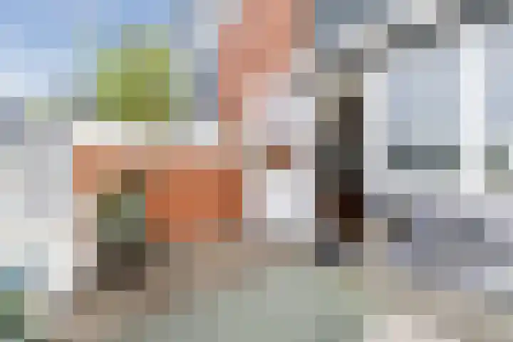 De Wevershilt 22 Leusden thumbnail 12