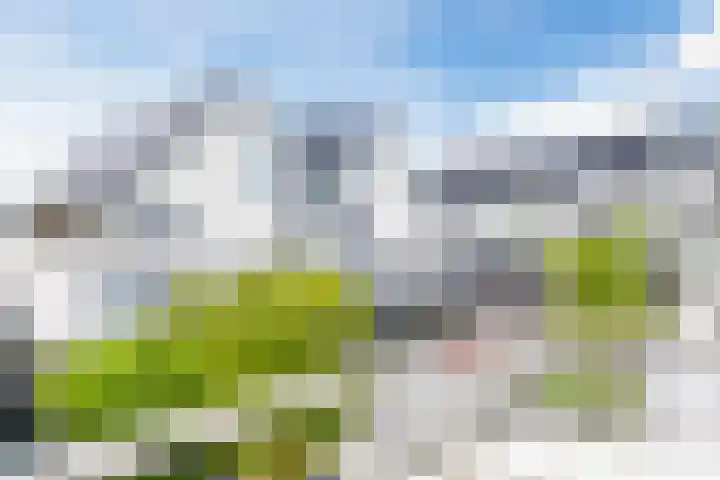 De Wevershilt 22 Leusden thumbnail 14