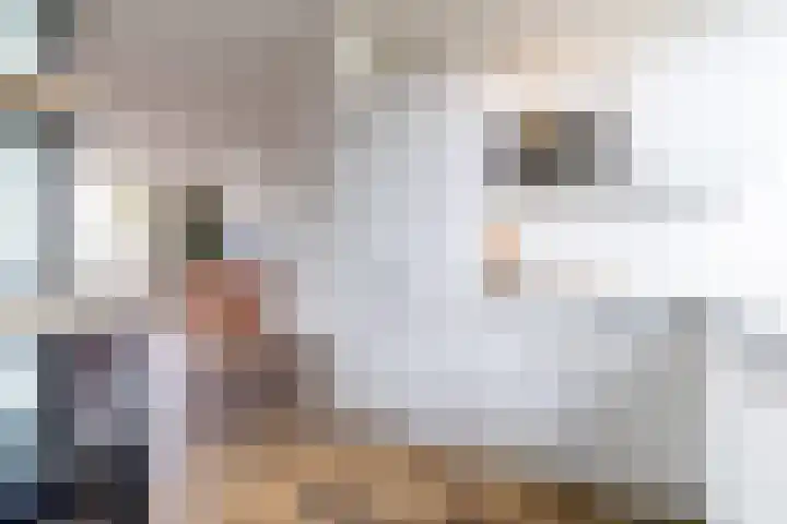 De Wevershilt 22 Leusden thumbnail 19