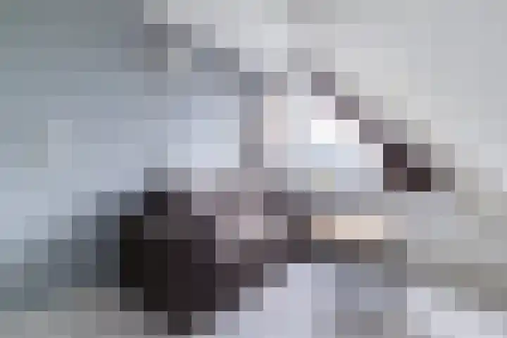 De Wevershilt 22 Leusden thumbnail 25