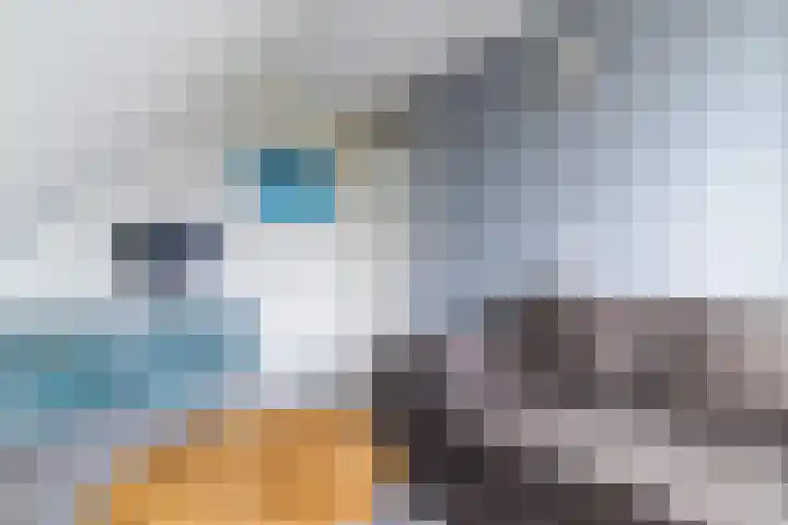 De Wevershilt 22 Leusden thumbnail 26
