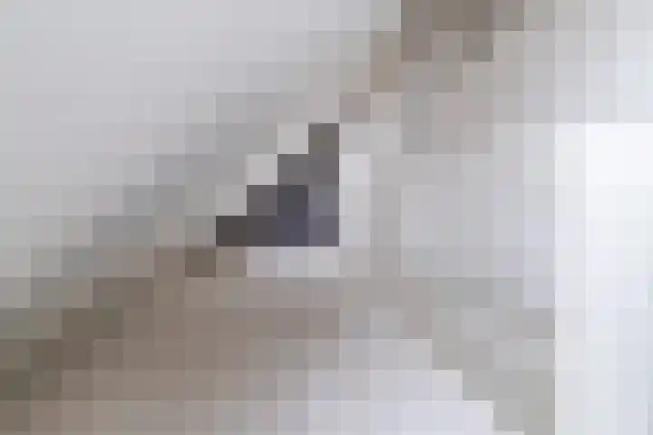 De Wevershilt 22 Leusden thumbnail 30