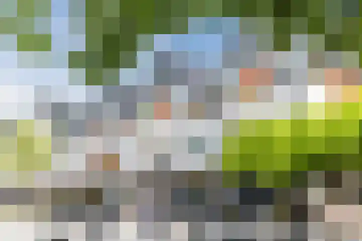 De Wevershilt 22 Leusden thumbnail 36