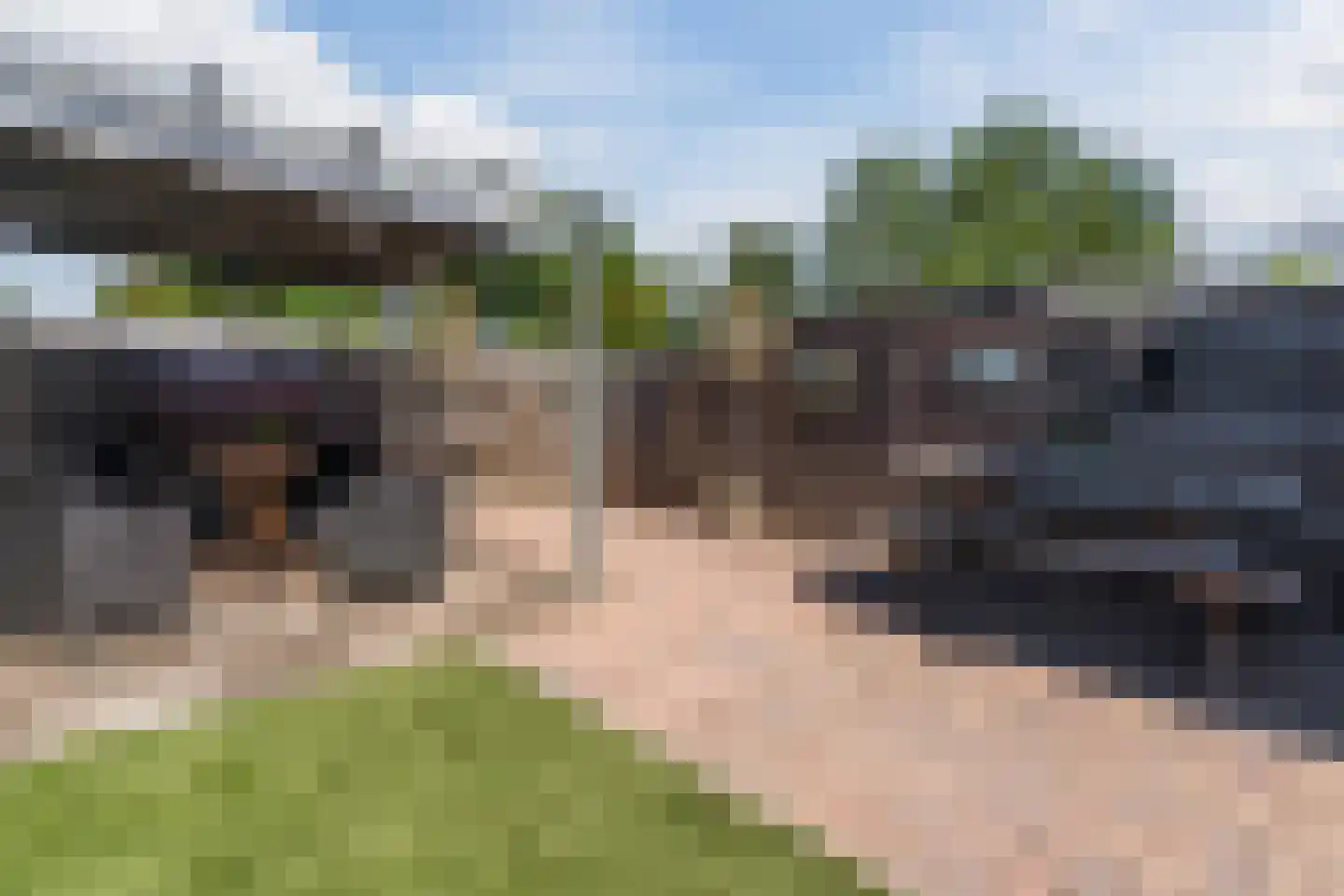De Wezeboom 18 Hoogeveen thumbnail 27