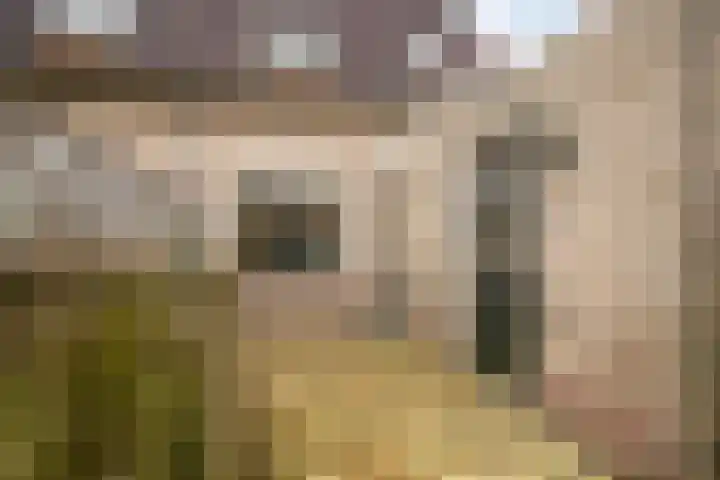 De Wheeme 9 Holten thumbnail 25