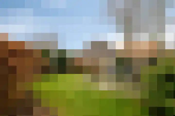 De Wheeme 9 Holten thumbnail 26