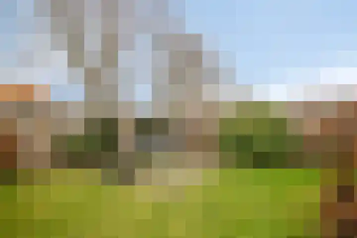 De Wheeme 9 Holten thumbnail 27
