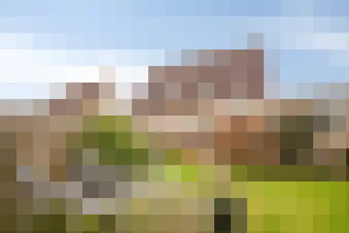 De Wheeme 9 Holten thumbnail 28