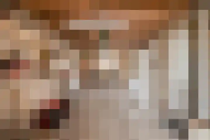 De Wheeme 9 Holten thumbnail 31