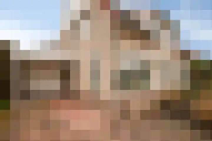 De Wheeme 9 Holten thumbnail 33