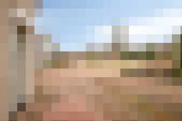 De Wheeme 9 Holten thumbnail 35