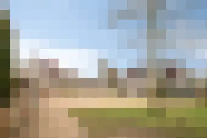 De Wheeme 9 Holten thumbnail 36