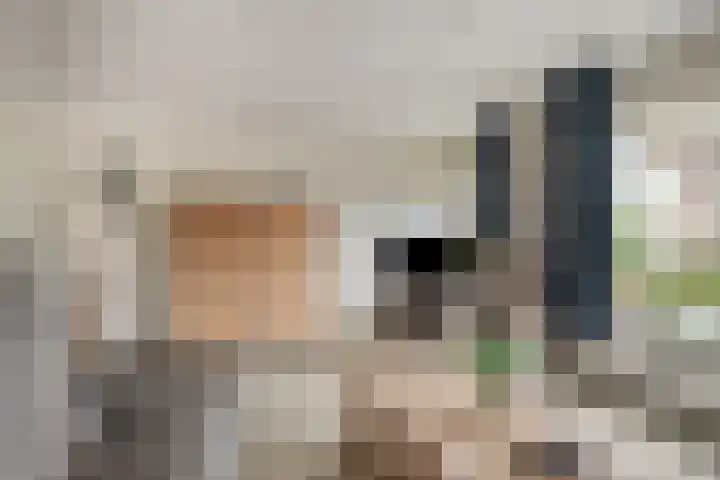 De Wheeme 9 Holten thumbnail 5