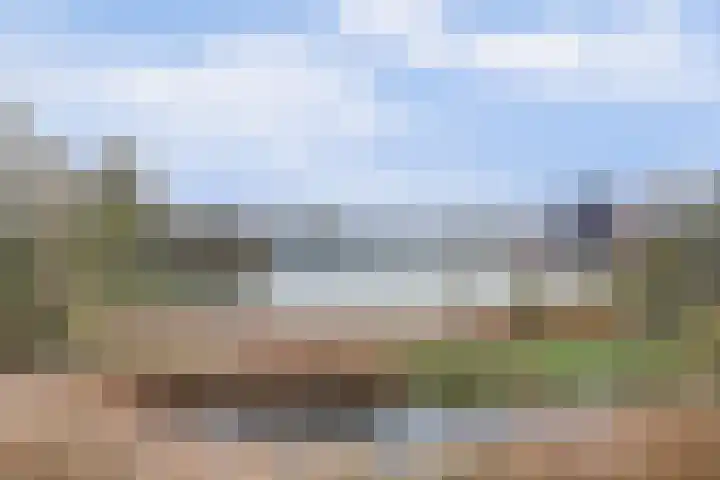 De Whemedreef 102 Arnhem thumbnail 38