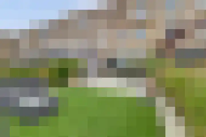 De Whemedreef 102 Arnhem thumbnail 39