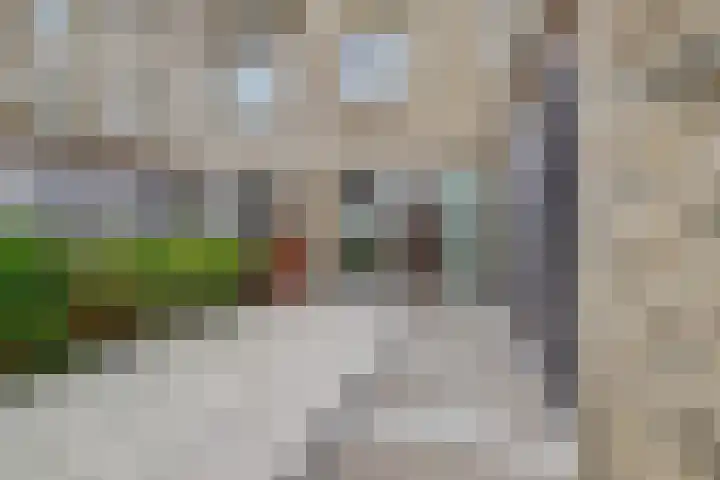 De Whemedreef 102 Arnhem thumbnail 43
