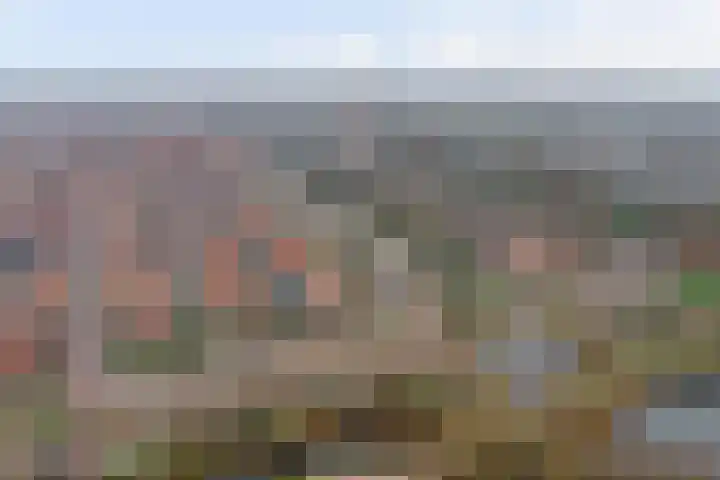 De Whemedreef 102 Arnhem thumbnail 47