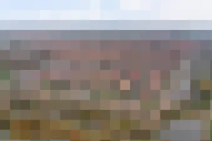 De Whemedreef 102 Arnhem thumbnail 48