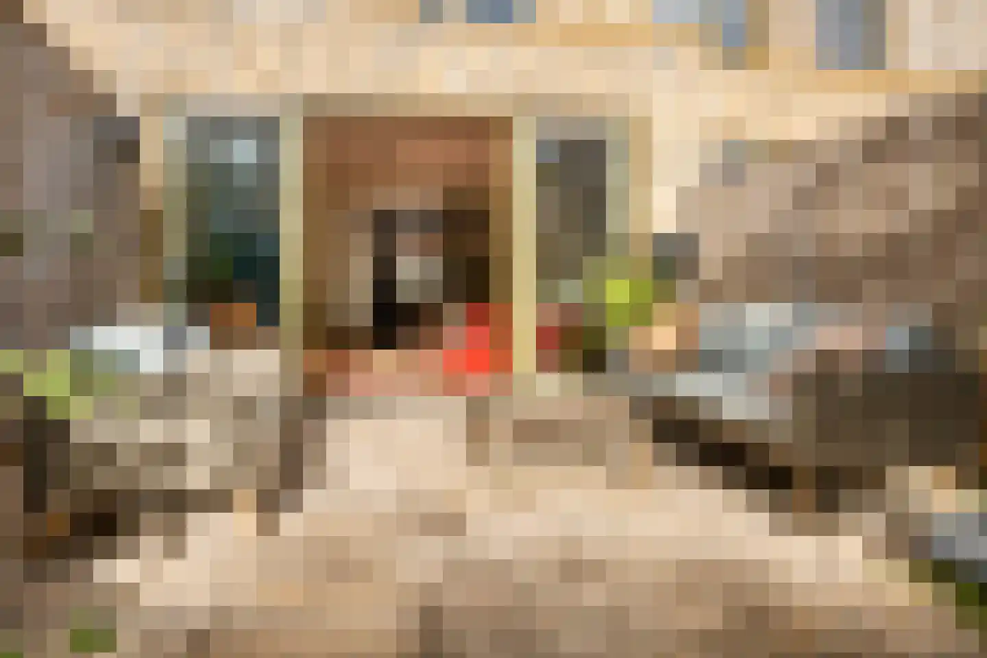 De Whemedreef 106 Arnhem thumbnail 38