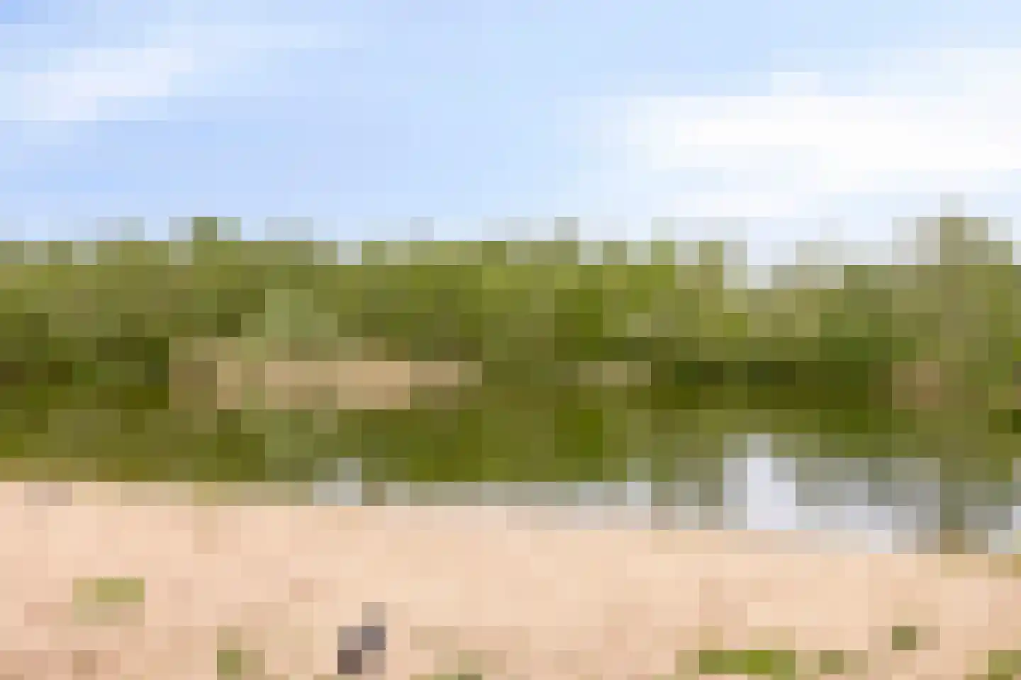 De Whemedreef 106 Arnhem thumbnail 43