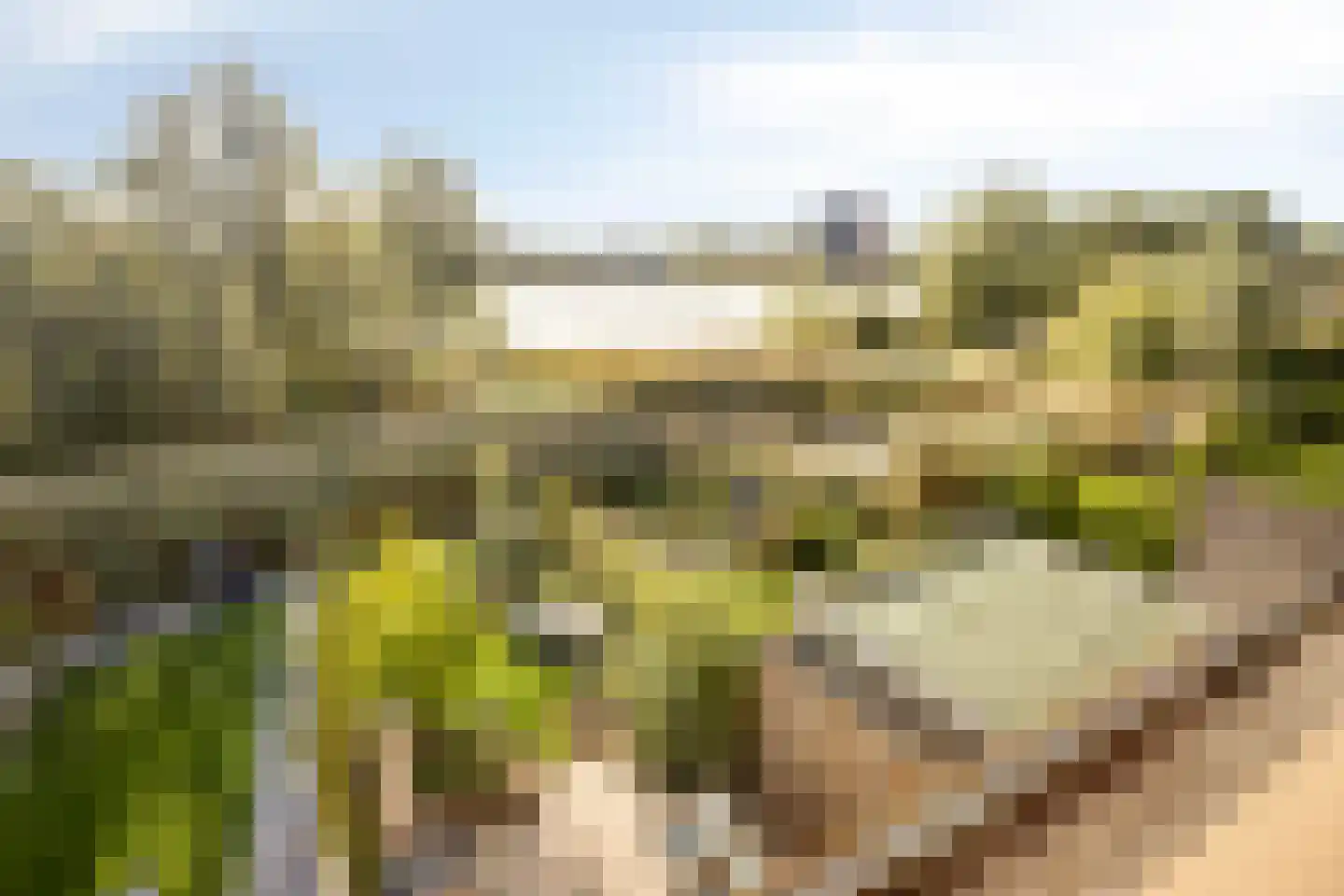 De Whemedreef 106 Arnhem thumbnail 7