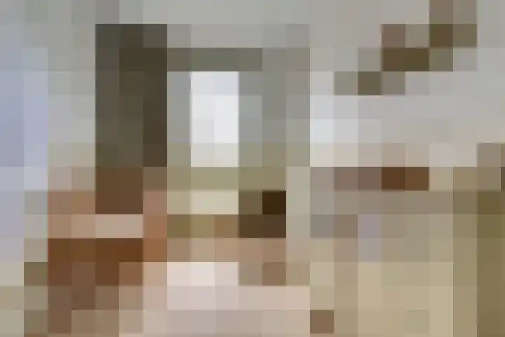De Whemedreef 108 Arnhem thumbnail 22