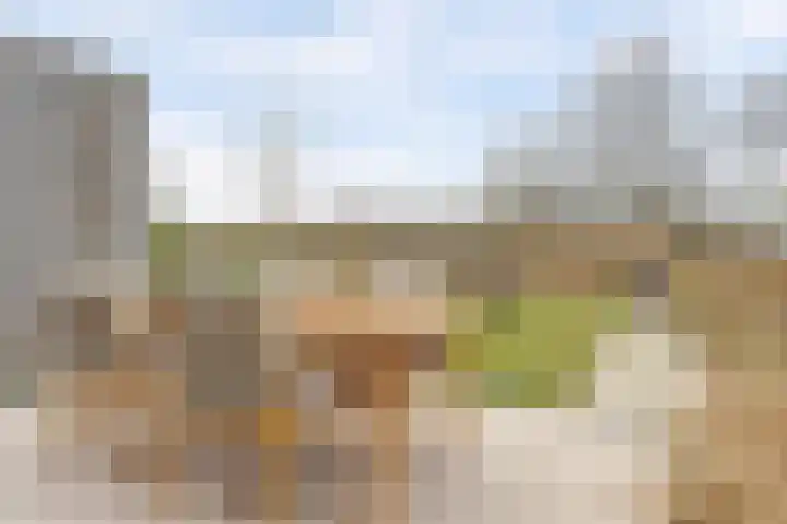De Whemedreef 108 Arnhem thumbnail 35