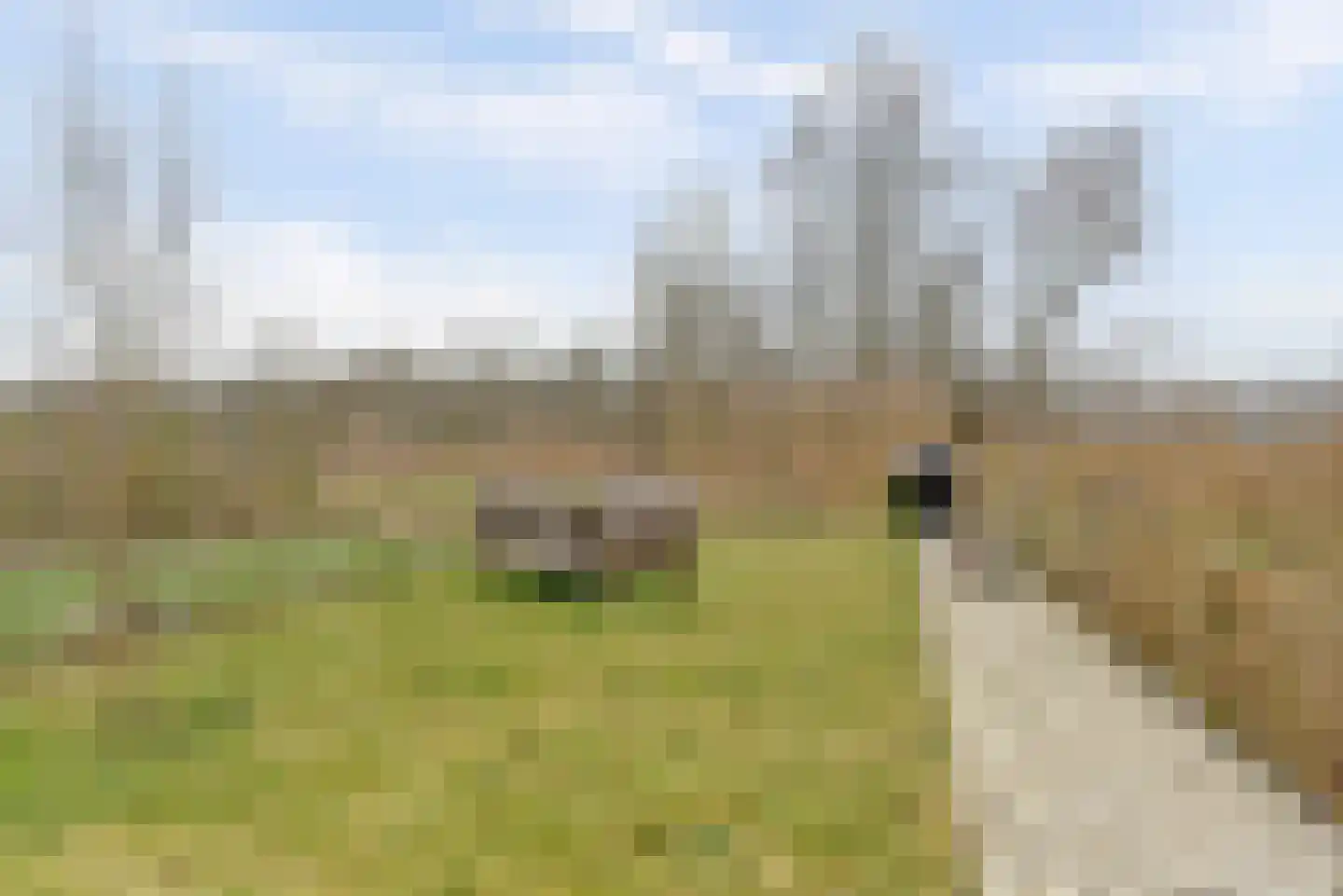 De Whemedreef 108 Arnhem thumbnail 36