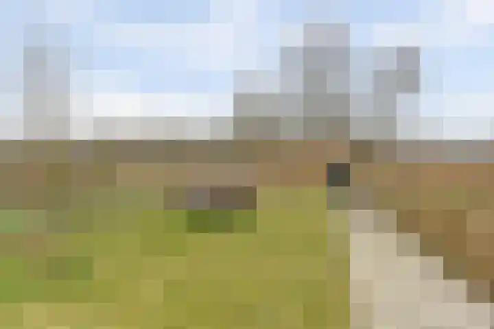 De Whemedreef 108 Arnhem thumbnail 36