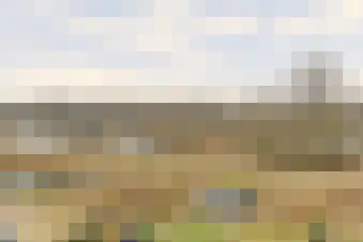 De Whemedreef 108 Arnhem thumbnail 37