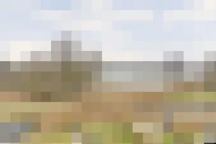 De Whemedreef 108 Arnhem thumbnail 38