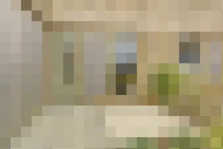 De Whemedreef 108 Arnhem thumbnail 39