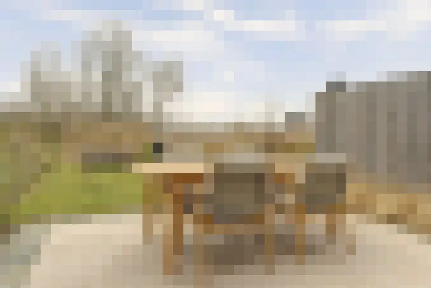 De Whemedreef 108 Arnhem thumbnail 4