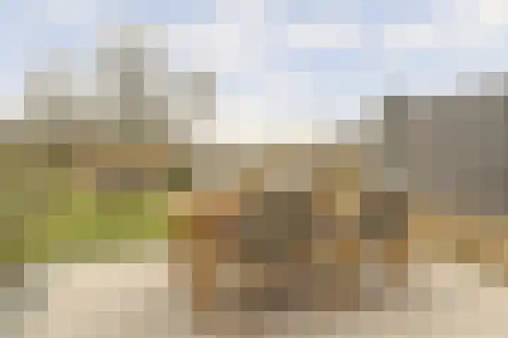 De Whemedreef 108 Arnhem thumbnail 4