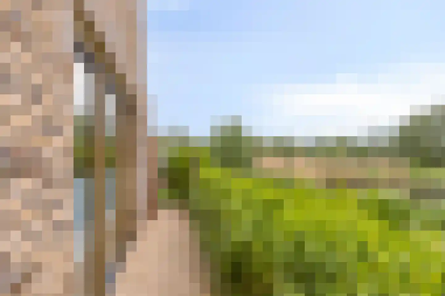 De Whemedreef 112 Arnhem thumbnail 46
