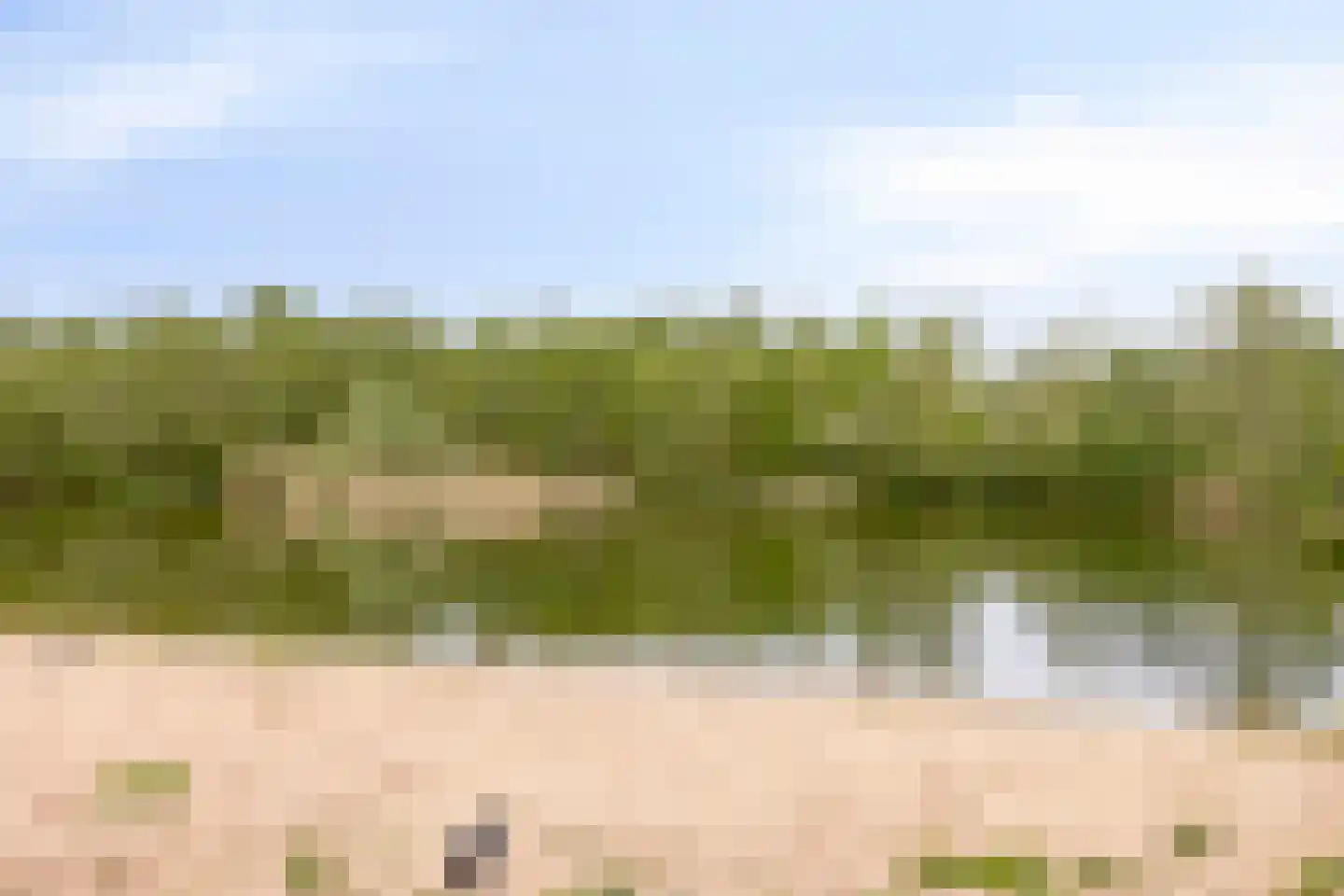 De Whemedreef 112 Arnhem thumbnail 50