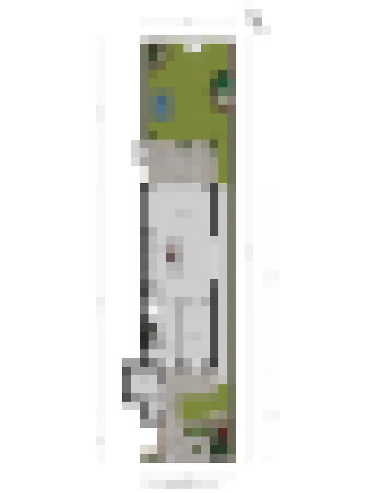 De Whemedreef 112 Arnhem thumbnail 52