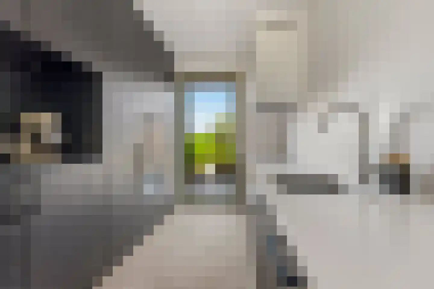 De Whemedreef 58 Arnhem thumbnail 16