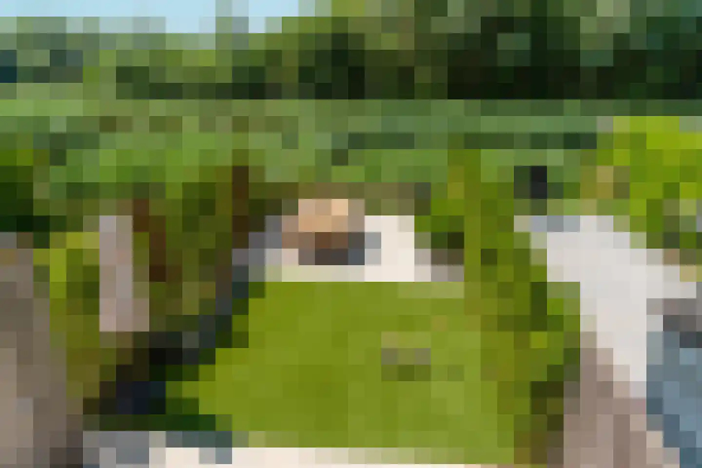 De Whemedreef 58 Arnhem thumbnail 39