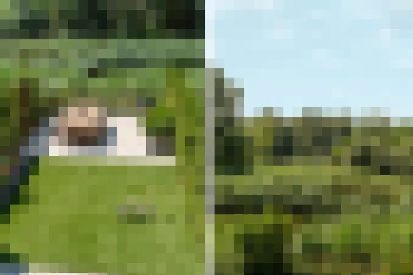 De Whemedreef 58 Arnhem thumbnail 40